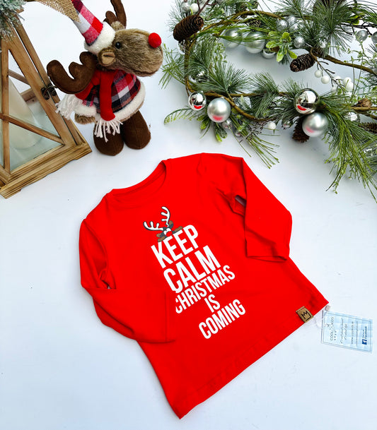 Red Christmas long sleeve
