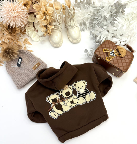 Chocolate Teddy hoodie