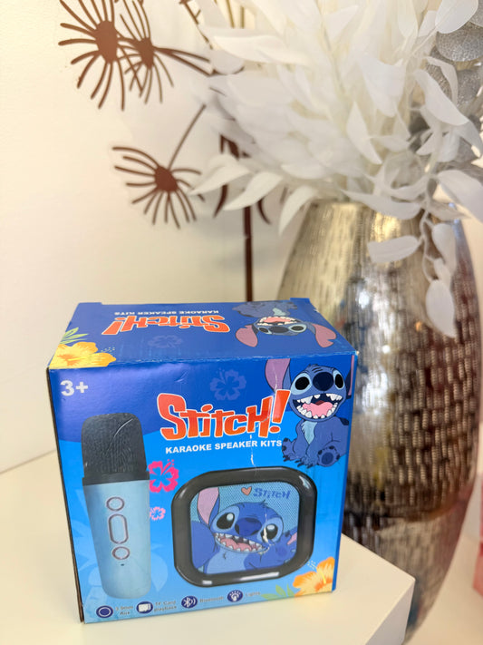 Karaoke  Speaker Kits