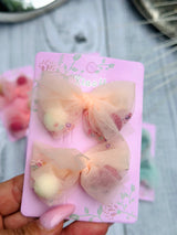 Hair clips ( 2 )
